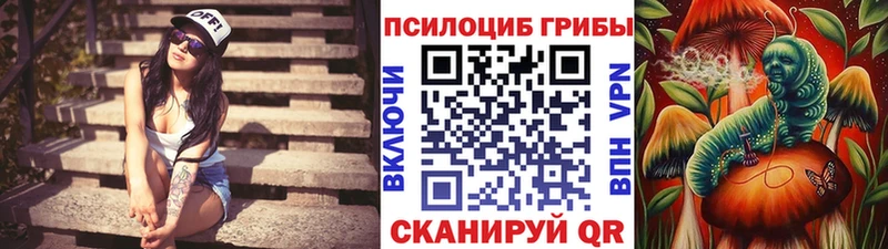 Псилоцибиновые грибы Psilocybine cubensis  это клад  Кандалакша 