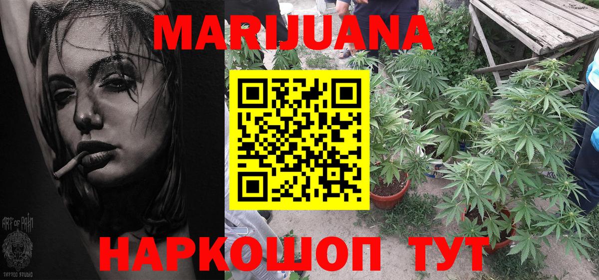 Каннабис OG Kush Кандалакша